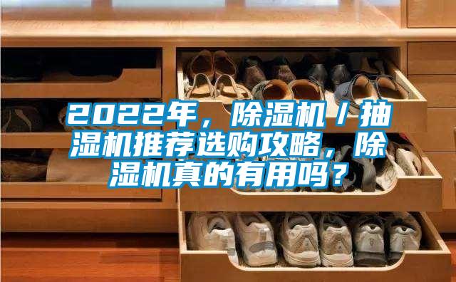2022年，除濕機／抽濕機推薦選購攻略，除濕機真的有用嗎？