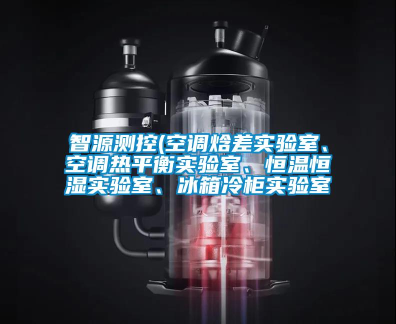 智源測控(空調(diào)焓差實驗室、空調(diào)熱平衡實驗室、恒溫恒濕實驗室、冰箱冷柜實驗室