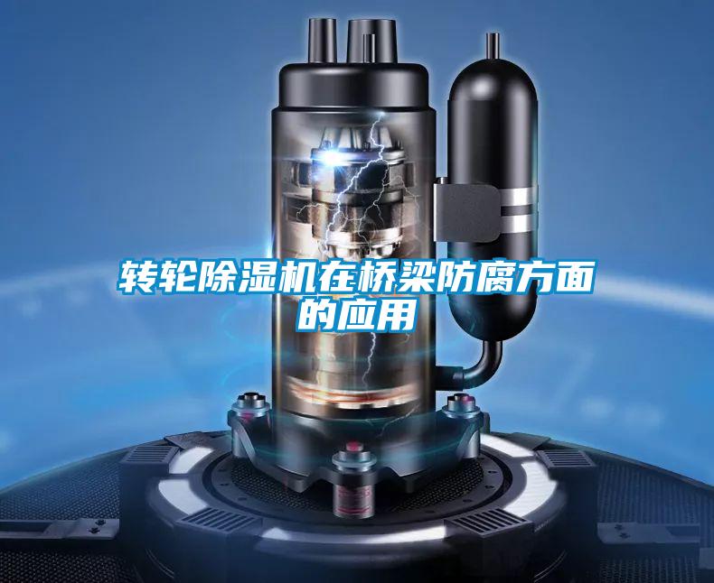 轉(zhuǎn)輪除濕機在橋梁防腐方面的應用