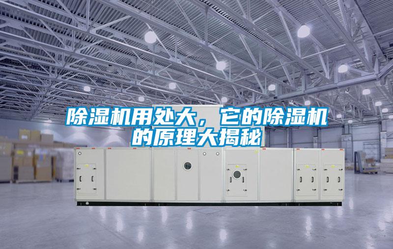 除濕機(jī)用處大,它的除濕機(jī)的原理大揭秘