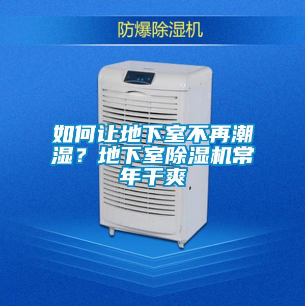 如何讓地下室不再潮濕？地下室除濕機常年干爽