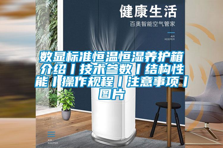 數(shù)顯標(biāo)準(zhǔn)恒溫恒濕養(yǎng)護箱介紹丨技術(shù)參數(shù)丨結(jié)構(gòu)性能丨操作規(guī)程丨注意事項丨圖片