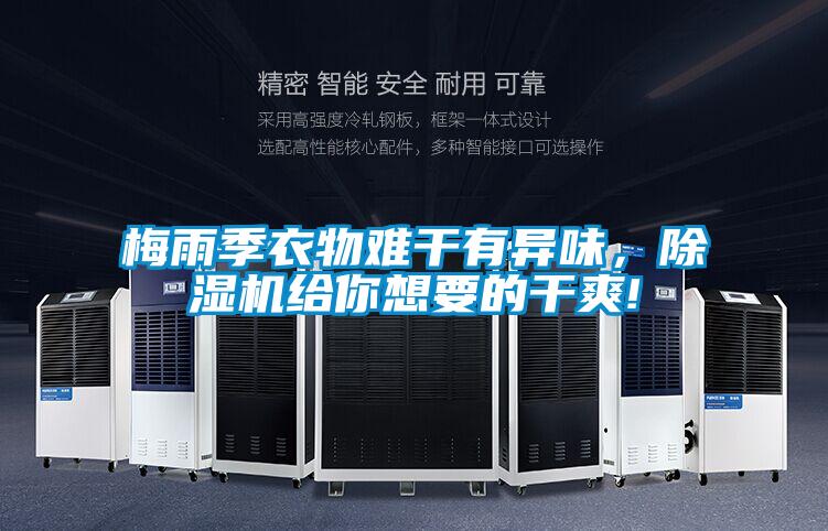梅雨季衣物難干有異味，除濕機給你想要的干爽!