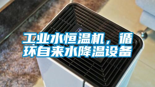 工業(yè)水恒溫機(jī),循環(huán)自來(lái)水降溫設(shè)備