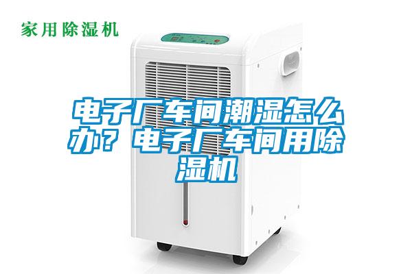 電子廠車間潮濕怎么辦？電子廠車間用除濕機