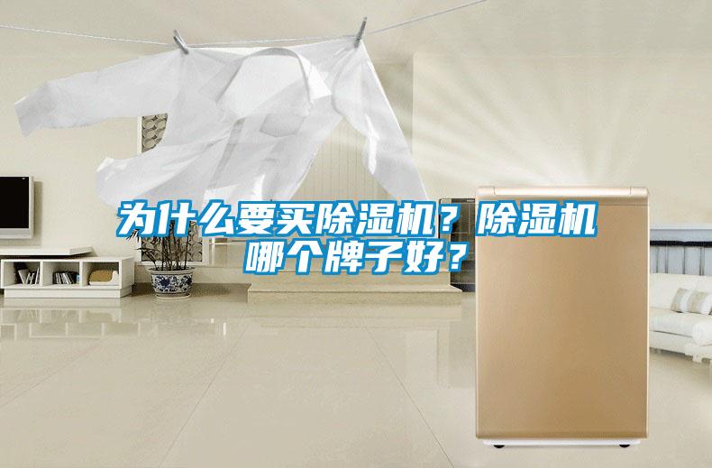 為什么要買(mǎi)除濕機(jī)？除濕機(jī)哪個(gè)牌子好？