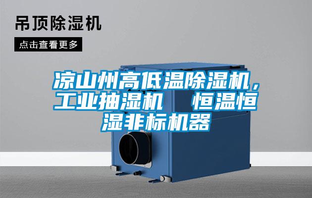 涼山州高低溫除濕機,工業抽濕機  恒溫恒濕非標機器