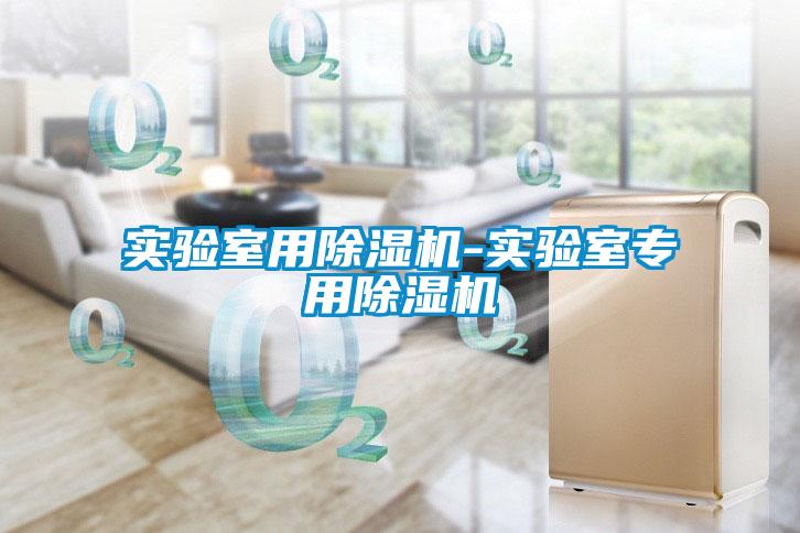 實(shí)驗(yàn)室用除濕機(jī)-實(shí)驗(yàn)室專(zhuān)用除濕機(jī)