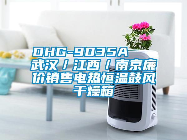 DHG-9035A   武漢/江西/南京廉價銷售電熱恒溫鼓風干燥箱