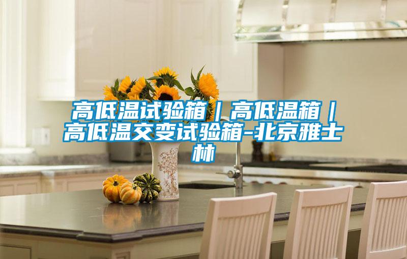 高低溫試驗(yàn)箱|高低溫箱|高低溫交變?cè)囼?yàn)箱-北京雅士林