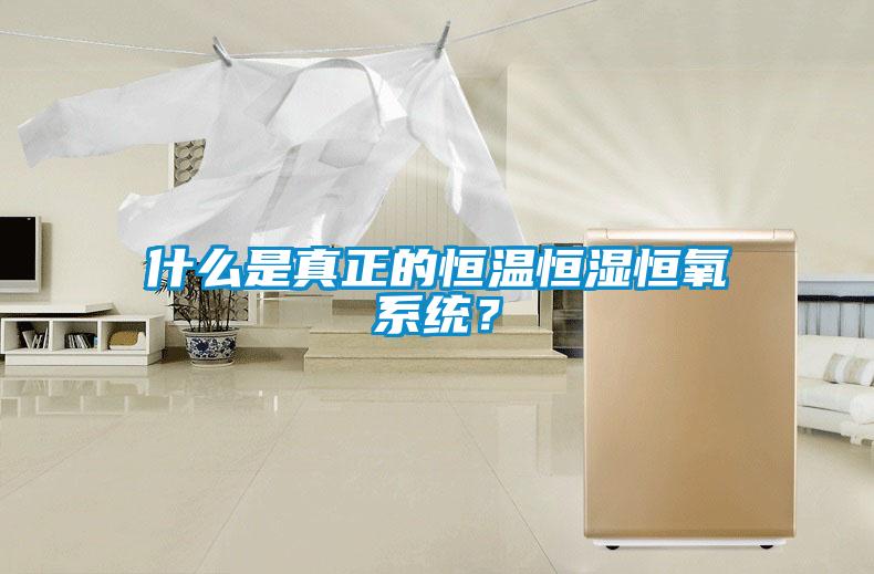 什么是真正的恒溫恒濕恒氧系統？