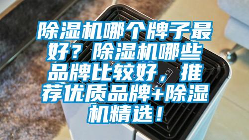 除濕機哪個牌子最好？除濕機哪些品牌比較好，推薦優質品牌+除濕機精選！