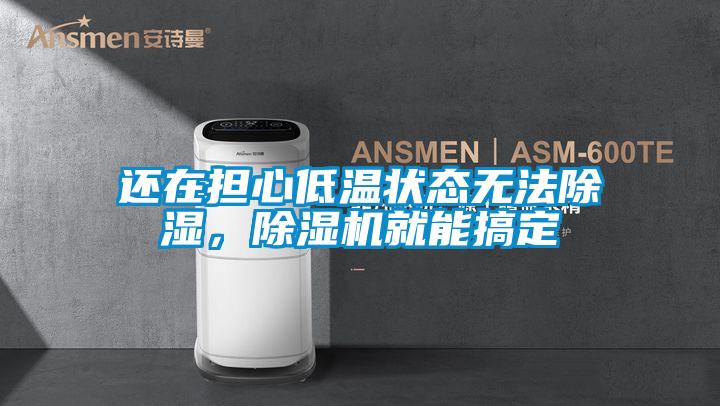 還在擔心低溫狀態無法除濕，除濕機就能搞定