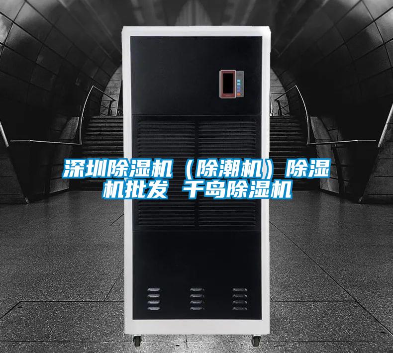 深圳除濕機(jī)(除潮機(jī))除濕機(jī)批發(fā) 千島除濕機(jī)