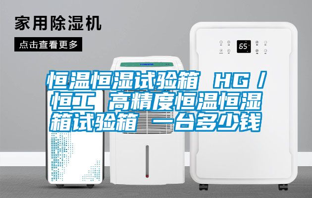恒溫恒濕試驗箱 HG/恒工 高精度恒溫恒濕箱試驗箱 一臺多少錢