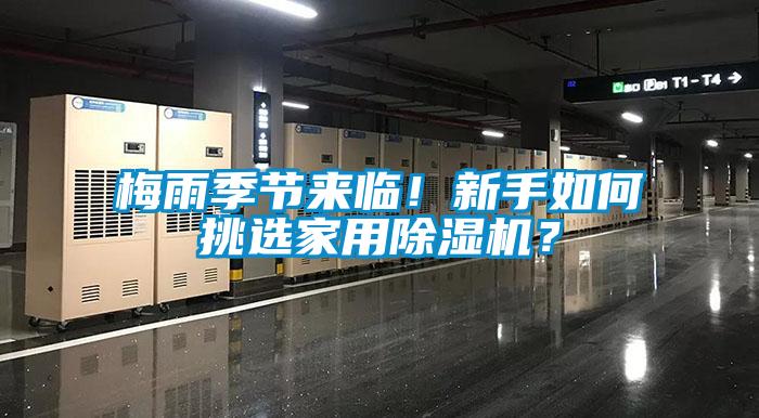 梅雨季節來臨!新手如何挑選家用除濕機?