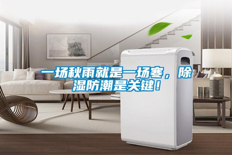一場秋雨就是一場寒，除濕防潮是關鍵！