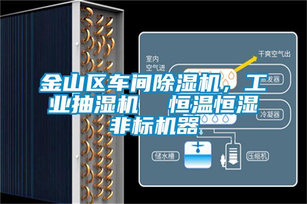 金山區(qū)車間除濕機,工業(yè)抽濕機  恒溫恒濕非標機器
