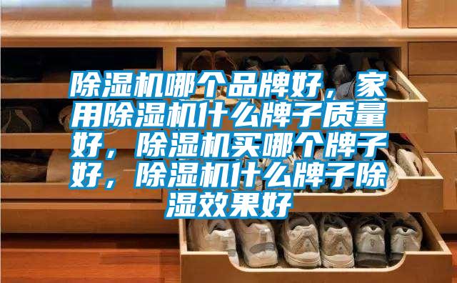 除濕機哪個品牌好,家用除濕機什么牌子質(zhì)量好,除濕機買哪個牌子好,除濕機什么牌子除濕效果好