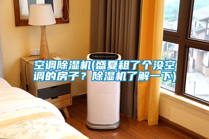 空調除濕機(盛夏租了個沒空調的房子？除濕機了解一下)