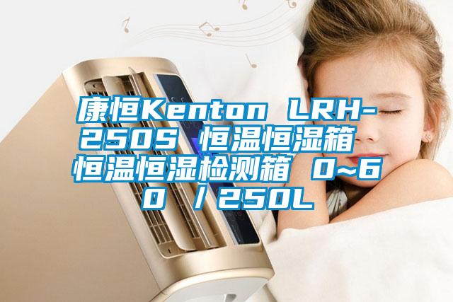 康恒Kenton LRH-250S 恒溫恒濕箱 恒溫恒濕檢測箱 0~60℃/250L