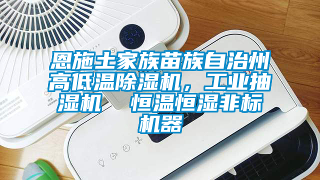 恩施土家族苗族自治州高低溫除濕機,工業抽濕機  恒溫恒濕非標機器