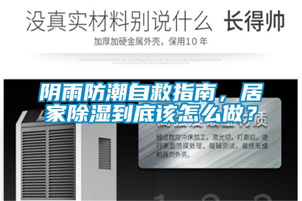 陰雨防潮自救指南，居家除濕到底該怎么做？