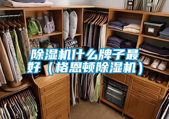 除濕機(jī)什么牌子最好(格恩頓除濕機(jī))