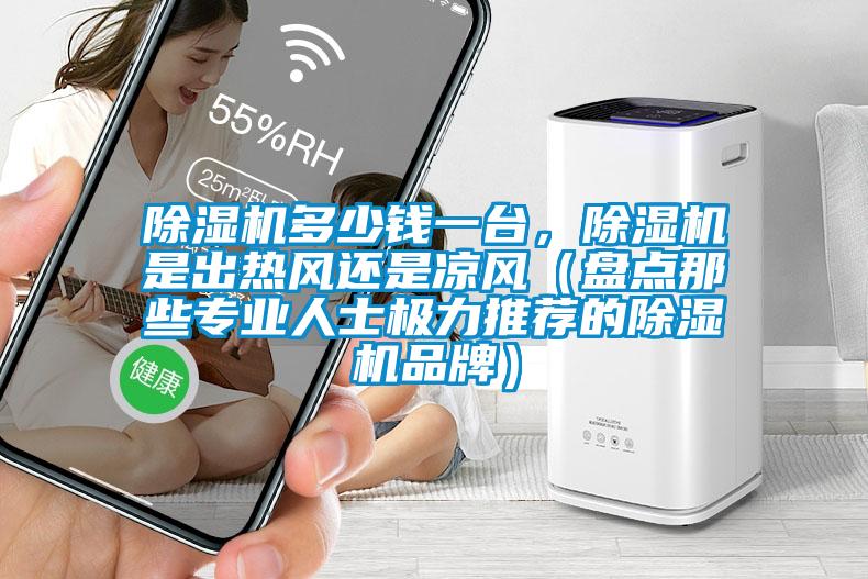 除濕機多少錢一臺，除濕機是出熱風還是涼風（盤點那些專業(yè)人士極力推薦的除濕機品牌）