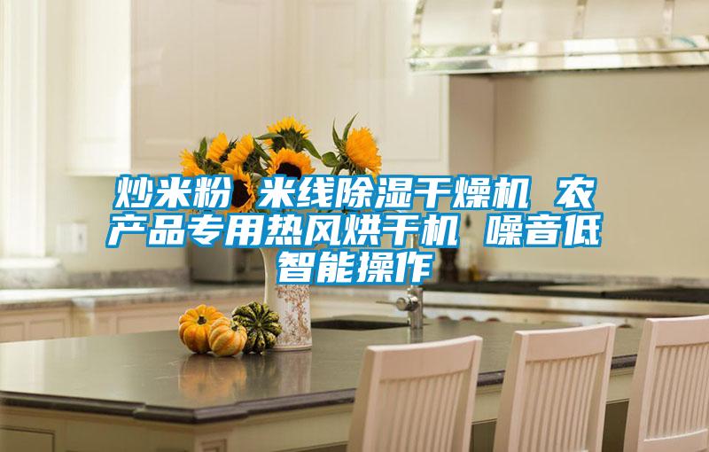 炒米粉 米線除濕干燥機(jī) 農(nóng)產(chǎn)品專(zhuān)用熱風(fēng)烘干機(jī) 噪音低智能操作