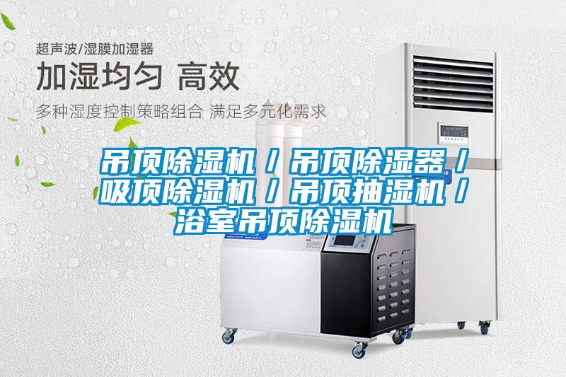 吊頂除濕機(jī)/吊頂除濕器/吸頂除濕機(jī)/吊頂抽濕機(jī)/浴室吊頂除濕機(jī)