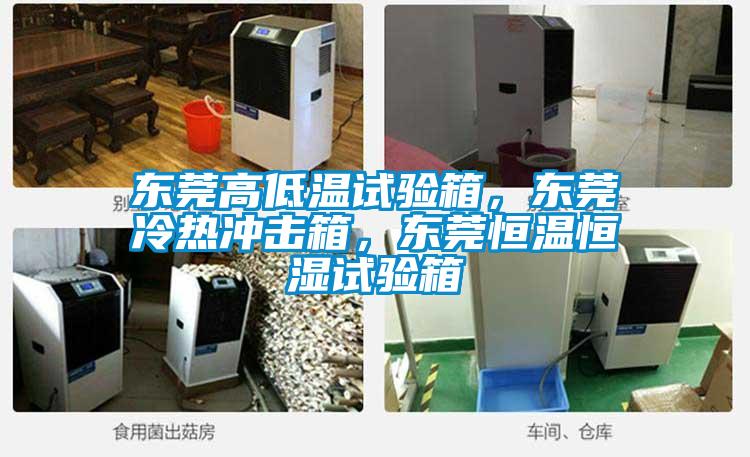 東莞高低溫試驗(yàn)箱，東莞冷熱沖擊箱，東莞恒溫恒濕試驗(yàn)箱