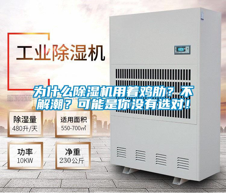 為什么除濕機(jī)用著雞肋？不解潮？可能是你沒有選對(duì)！