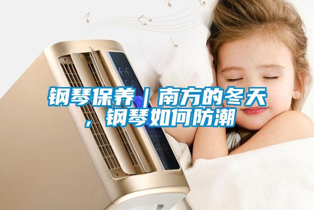 鋼琴保養(yǎng)|南方的冬天,鋼琴如何防潮