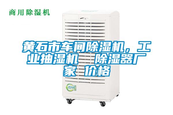 黃石市車間除濕機,工業抽濕機  除濕器廠家 價格