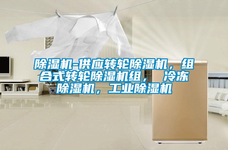 除濕機-供應轉輪除濕機，組合式轉輪除濕機組， 冷凍除濕機，工業除濕機