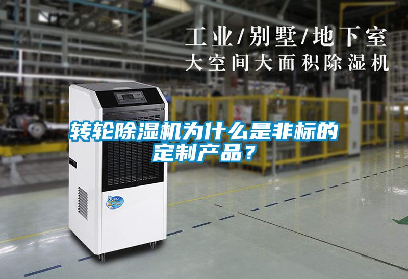 轉輪除濕機為什么是非標的定制產品？