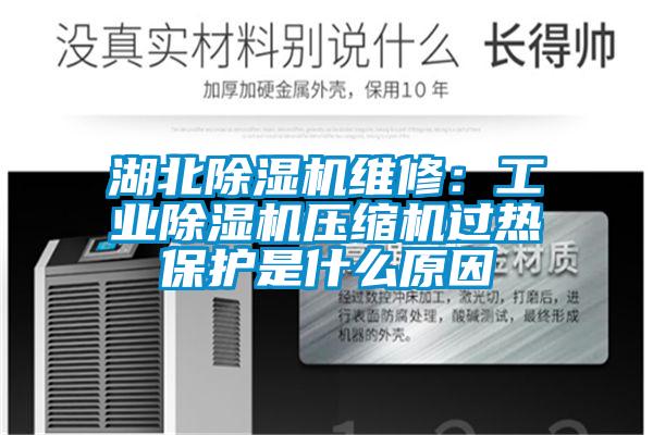 湖北除濕機(jī)維修:工業(yè)除濕機(jī)壓縮機(jī)過熱保護(hù)是什么原因