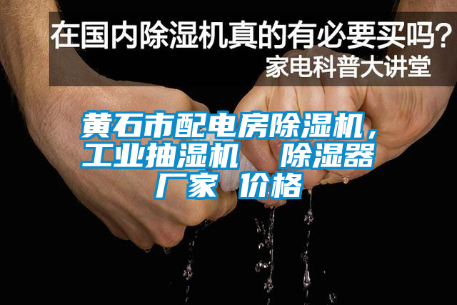 黃石市配電房除濕機(jī),工業(yè)抽濕機(jī)  除濕器廠家 價格