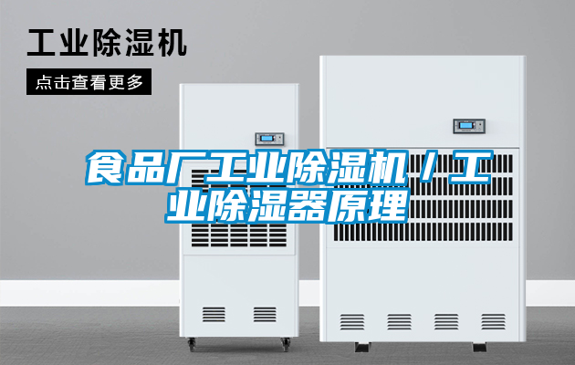 食品廠工業(yè)除濕機/工業(yè)除濕器原理
