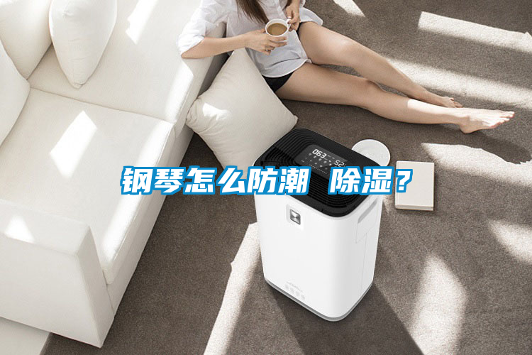 鋼琴怎么防潮 除濕?