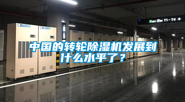 中國的轉(zhuǎn)輪除濕機發(fā)展到什么水平了?