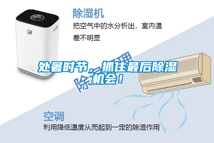 處暑時節，抓住最后除濕機會！