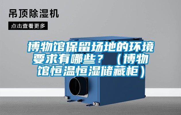 博物館保留場地的環(huán)境要求有哪些？（博物館恒溫恒濕儲(chǔ)藏柜）