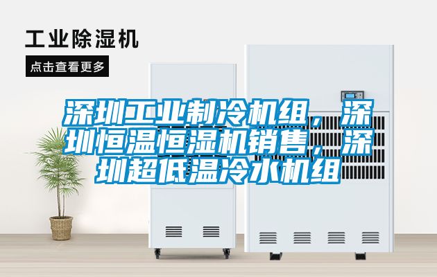 深圳工業制冷機組,深圳恒溫恒濕機銷售,深圳超低溫冷水機組