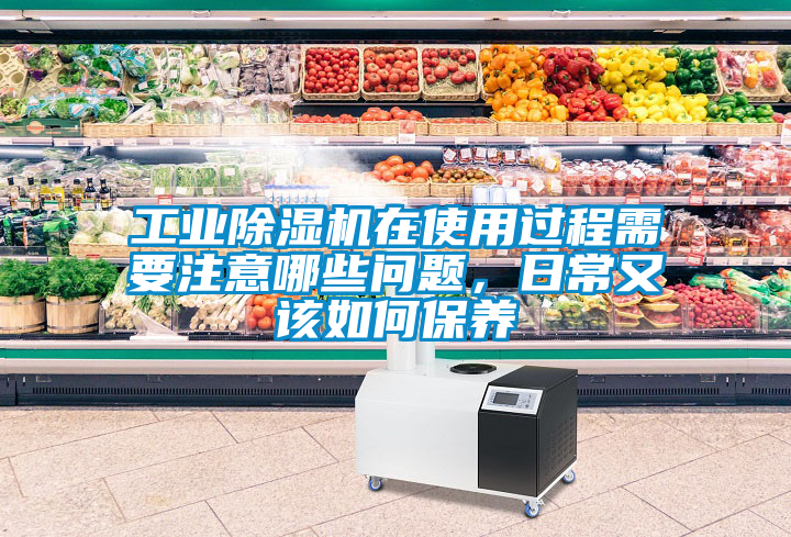 工業除濕機在使用過程需要注意哪些問題,日常又該如何保養