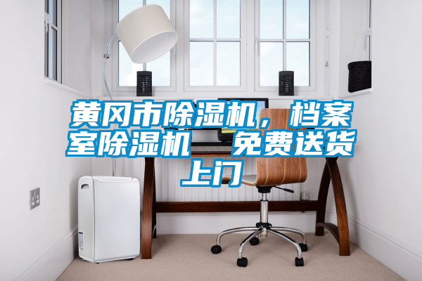 黃岡市除濕機,檔案室除濕機  免費送貨上門