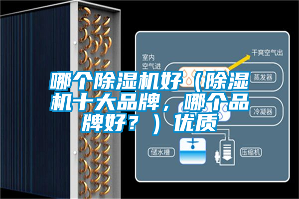 哪個(gè)除濕機(jī)好(除濕機(jī)十大品牌,哪個(gè)品牌好?)優(yōu)質(zhì)