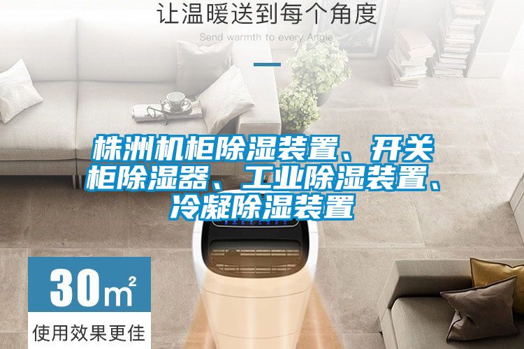 株洲機柜除濕裝置、開關柜除濕器、工業除濕裝置、冷凝除濕裝置