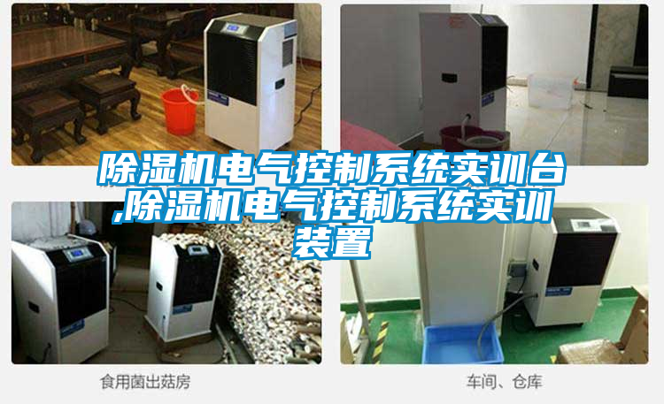 除濕機電氣控制系統(tǒng)實訓臺,除濕機電氣控制系統(tǒng)實訓裝置